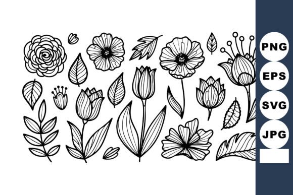 Hand Drawn Black and White Floral Elemen Graphics