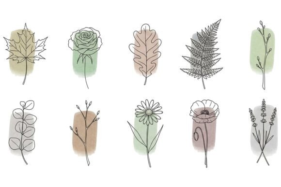 Minimal Hand Drawn Floral Collection Graphics and Illustrations