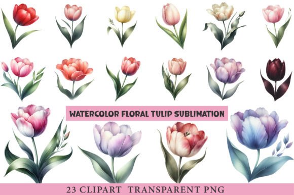 Watercolor Floral Tulip Clipart Bundle Review